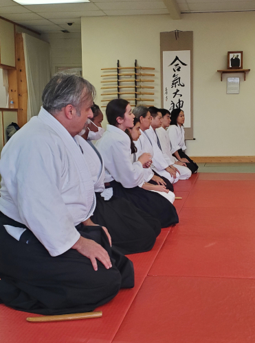 Aikido class